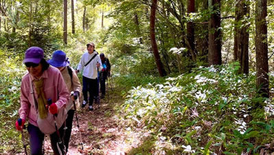 10月8日定例ウォーキング
