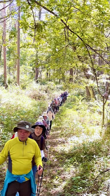 10月8日定例ウォーキング