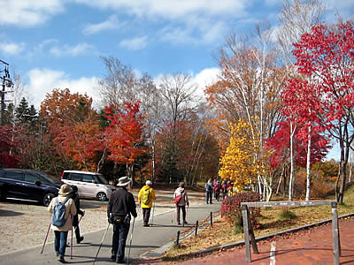 11月5日定例ウォーキング