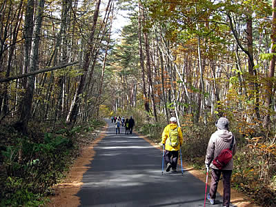 11月5日定例ウォーキング