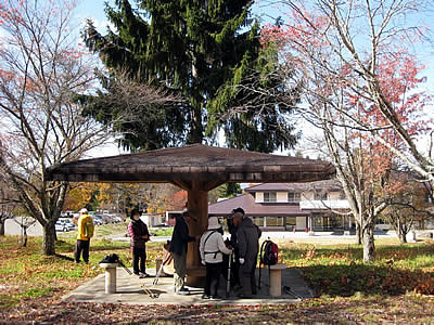 11月5日定例ウォーキング