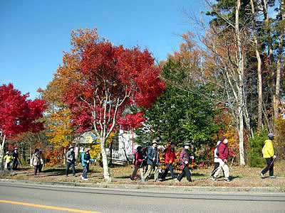 11月5日定例ウォーキング