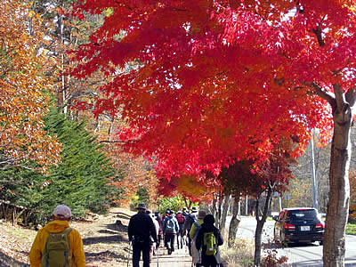 11月5日定例ウォーキング