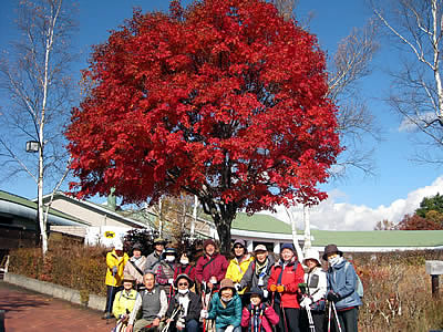 11月5日定例ウォーキング