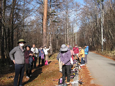12月3日定例ウォーキング