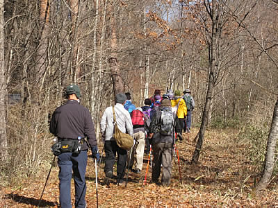 12月3日定例ウォーキング
