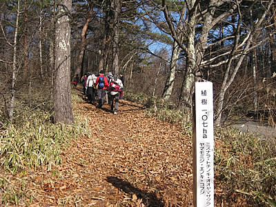 12月3日定例ウォーキング