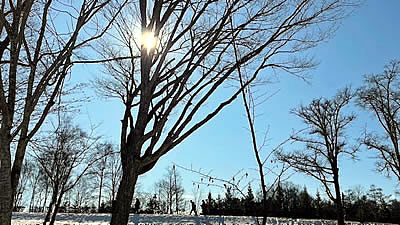 1月7日定例ウォーキング