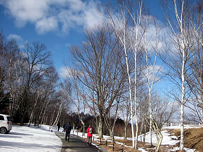 2月4日定例ウォーキング