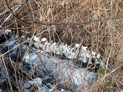 2月4日定例ウォーキング