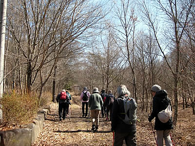 3月4日定例ウォーキング