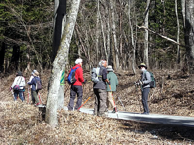 3月4日定例ウォーキング