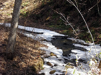 3月4日定例ウォーキング