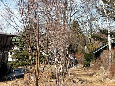 3月4日定例ウォーキング