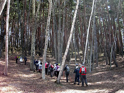 4月2日定例ウォーキング