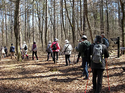 4月2日定例ウォーキング