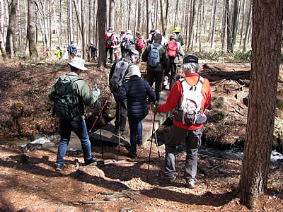 4月2日定例ウォーキング