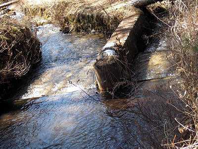 4月2日定例ウォーキング