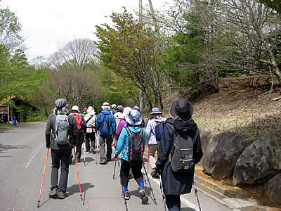 5月6日定例ウォーキング