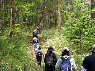 5月6日定例ウォーキング