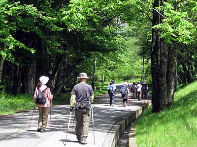 6月3日定例ウォーキング