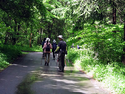 6月3日定例ウォーキング