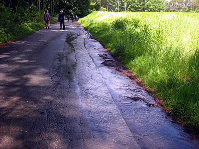 6月3日定例ウォーキング