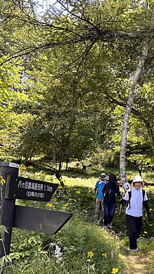 8月5日定例ウォーキング