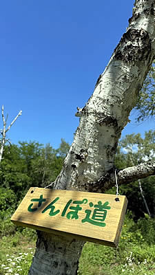 8月5日定例ウォーキング