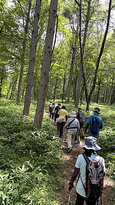 8月5日定例ウォーキング