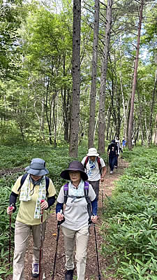 8月5日定例ウォーキング