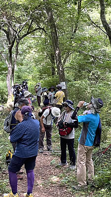 8月5日定例ウォーキング