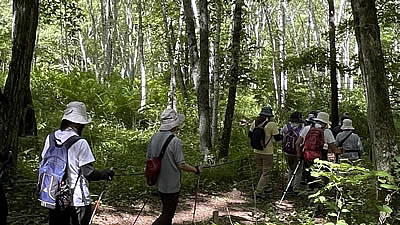 8月5日定例ウォーキング