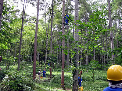 9月2日定例ウォーキング