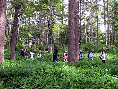 9月2日定例ウォーキング