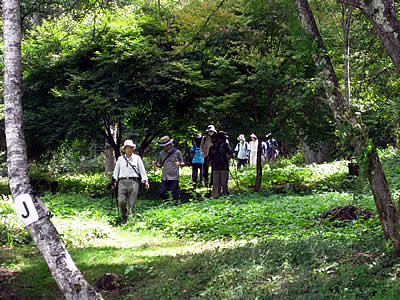 9月2日定例ウォーキング