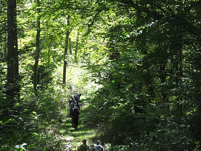 10月7日定例ウォーキング