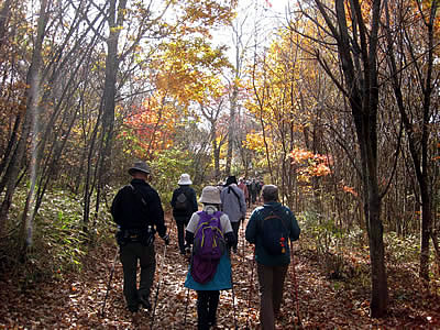 11月4日定例ウォーキング