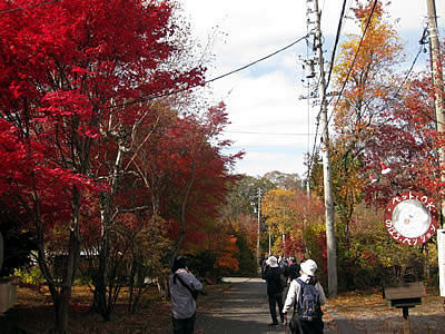 11月4日定例ウォーキング