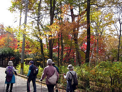 11月4日定例ウォーキング