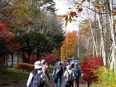 11月4日定例ウォーキング