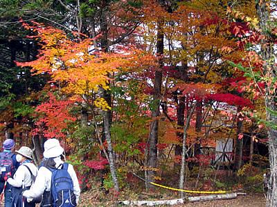 11月4日定例ウォーキング