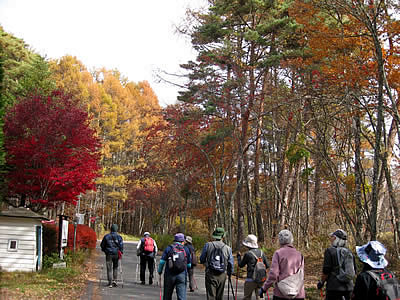 11月4日定例ウォーキング