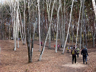 12月2日定例ウォーキング