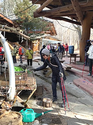 12月2日定例ウォーキング