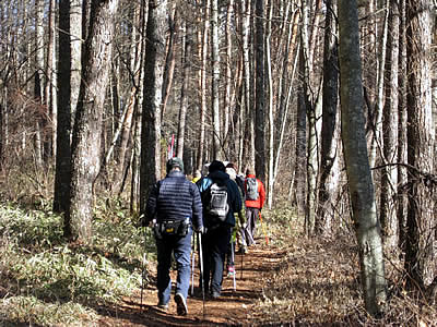 1月6日定例ウォーキング