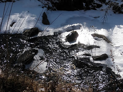 1月6日定例ウォーキング