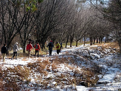 1月6日定例ウォーキング