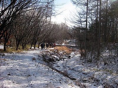 1月6日定例ウォーキング