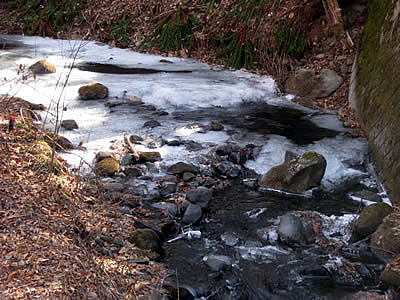 2月3日定例ウォーキング
